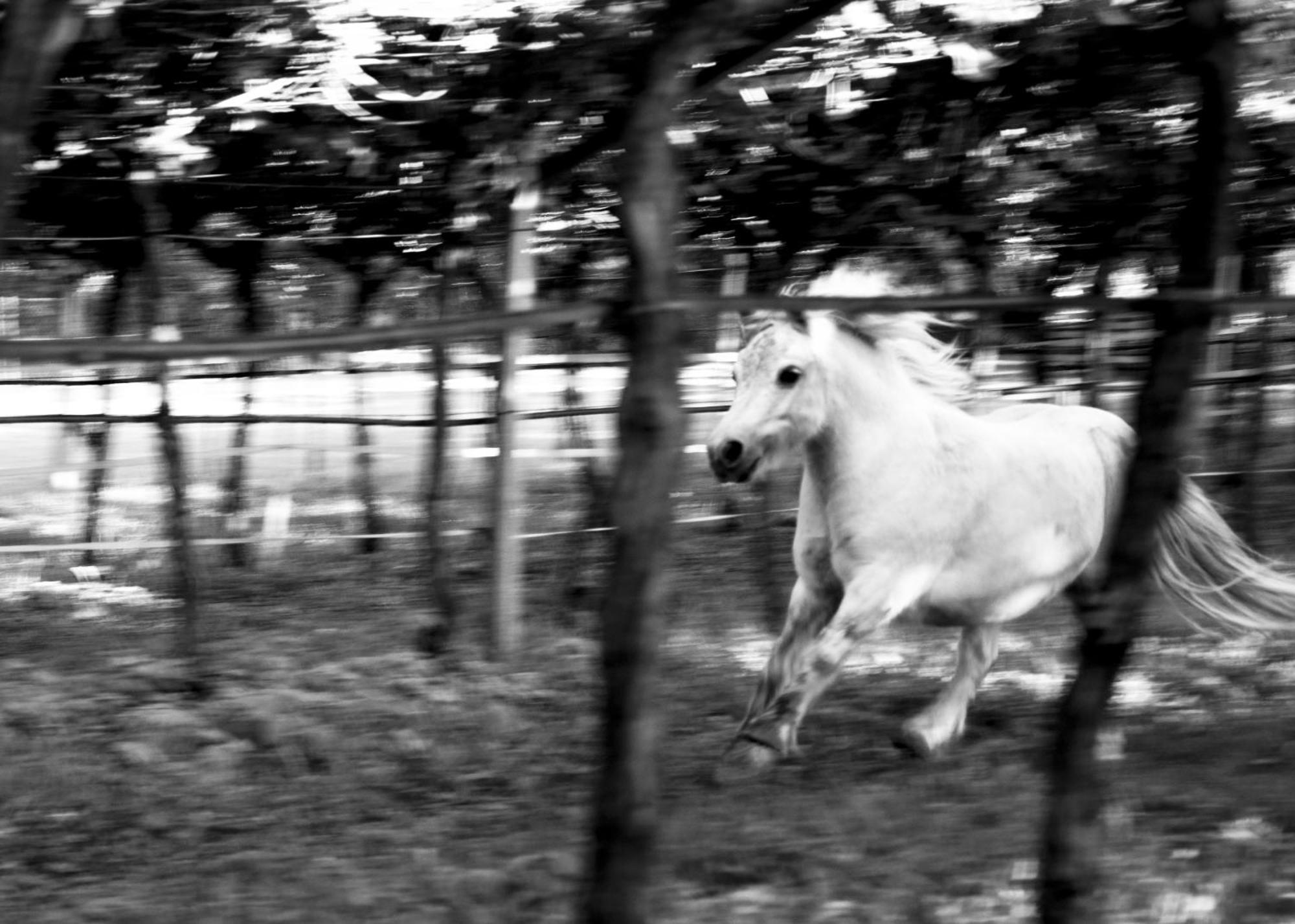 8 Grappoli Agritur Villa เตรนโต ภายนอก รูปภาพ